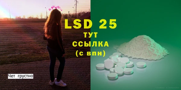 хмурый Аркадак