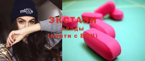 хмурый Аркадак