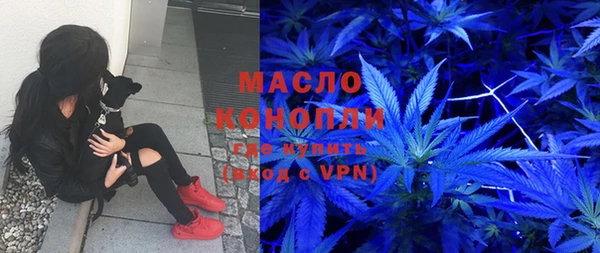 хмурый Аркадак