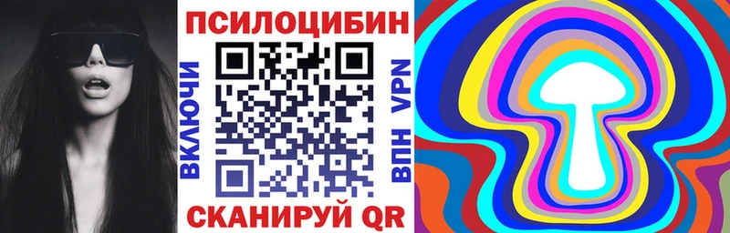 Купить закладки Урюпинск Псилоцибиновые грибы GOLDEN TEACHER