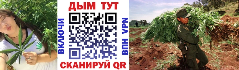 Купить закладки  Урюпинск  Канабис Bruce Banner 